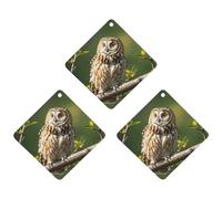 3PCS Owl Tree Branches Car Air Freshener Hanging Scented Cards Cute White Car Fresheners Long Lasting New Cars Scents for Women Men Natural Air Freshener with Lanyard Automotive Freshies