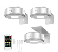 3PCS Picture Lights with Remote,3 Colors Paintings Light Wireless Rechargeable Battery Wall Light Dimmable and Timer Metal Art Light for Paintings,Display, Wall, Artwork, Gallery (Silver)