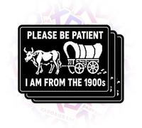 3Pcs Please Be Patient I’m from The 1900s Sticker, Funny Meme Gen X Retro Humor Vintage Quote 3 Inch Die-Cut Waterproof Vinyl Decals for Laptop, Tumbler, Water Bottle, Gift for Men Women Kids