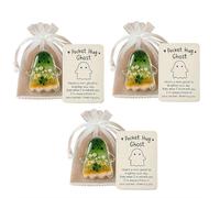 3Pcs Pocket Hugs Ghost,Cute Pocket Comfort Ghosts with Encouragement Card,Pockets Hug Ghost : A Hug in Your Pocket,Inspirational Gift for Friends, Halloween Support Token,Keepsake for Grief & Healing