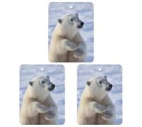 3PCS Polar Bear Car Air Freshener Hanging Scented Cards Cute Black Car Fresheners Long Lasting New Cars Scents for Women Men Natural Air Freshener with Lanyard Automotive Freshies