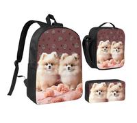 3PCS Pomeranians Puppies and Point Backpack Set with Insulated Lunch Box Pencil Pouch, 17inch Lightweight Laptop Bags Shoulder Lunch Bag and Pencil Case Bag 3-in-1 Set