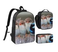 3Pcs School Bags Set 17 Inch Backpack Insulated Lunch Bag Pencil Case | Four Birds Printed Kids School Set For Kids Boys Girls Back To School