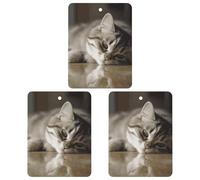 3PCS Sleeping Cat Car Air Freshener Hanging Scented Cards Cute lavender Car Fresheners Long Lasting New Cars Scents for Women Men Natural Air Freshener with Lanyard Automotive Freshies