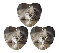 3PCS Sleeping Cat Car Air Freshener Hanging Scented Cards Cute lavender Car Fresheners Long Lasting New Cars Scents for Women Men Natural Air Freshener with Lanyard Automotive Freshies