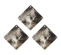 3PCS Sleeping Cat Car Air Freshener Hanging Scented Cards Cute lavender Car Fresheners Long Lasting New Cars Scents for Women Men Natural Air Freshener with Lanyard Automotive Freshies