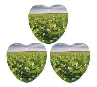 3PCS Soybean Field Car Air Freshener Hanging Scented Cards Cute lavender Car Fresheners Long Lasting New Cars Scents for Women Men Natural Air Freshener with Lanyard Automotive Freshies