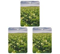 3PCS Soybean Field Car Air Freshener Hanging Scented Cards Cute lavender Car Fresheners Long Lasting New Cars Scents for Women Men Natural Air Freshener with Lanyard Automotive Freshies