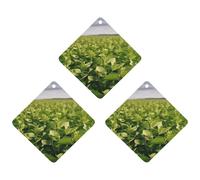 3PCS Soybean Field Car Air Freshener Hanging Scented Cards Cute tea Car Fresheners Long Lasting New Cars Scents for Women Men Natural Air Freshener with Lanyard Automotive Freshies