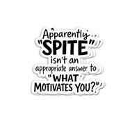 (3Pcs) Spite Isn't an Appropriate Answer Sticker - Funny Quote About Motivations - Perfect for Those with Sarcasm - Ideal for Water Bottles and Phone Cases & Journals