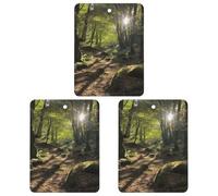 3PCS Sunshine in The Woods Car Air Freshener Hanging Scented Cards Cute White Car Fresheners Long Lasting New Cars Scents for Women Men Natural Air Freshener with Lanyard Automotive Freshies