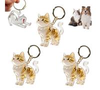 3PCS Transparent Pet Fur & Whisker Keepsake Charm, Cat Hair Memorial Keychain, Transparent Hairs Storage Memorial, Pet Lovers Memorials, Dog Shape Pets Hair Memorials Bottle (Style A)