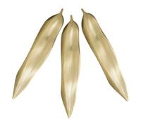 3pcs Willow Leaf Golden Stainless Steel Chopstick Rest | Japanese Inspired Minimal Design, Grooved Centre, Smooth Surface, Quick Cleaning, Suitable for Forks and Silverware