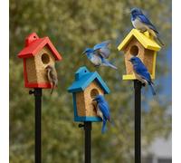 3pk Edible Bird House Bird Seed Birdfeeder Hanging Bird Feeder with Suet Cake, Bird Feast Suet Bird Feeder for Outdoor, Bird Watching Gifts for Bird Lovers