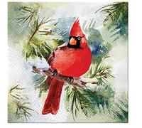 3Ply Xmas Winter Style Christmas Tissue Paper Napkins for Decoupage 33cm x 33cm Serviettes - Pack of 20 (Winter Cardinal)