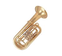 3Practice Playing The Euphonium B Flat Horn And Keys(6)