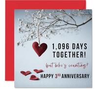 3rd Anniversary Card for Women Men - 1096 Days Together! - Happy 3 Year Anniversary Card for Partner Wife Husband Companion, 145mm Wedding Anniversaries Greeting Cards