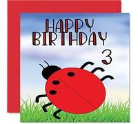 3rd Birthday Card - Ladybug Birthday Card - Happy 3 Year Old Boy Girl, Cards for Him or Her, 145mm Greeting for Son Daughter Nephew Grandson Granddaughter Children