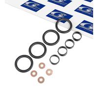 3RG 84223 Injector seal kit