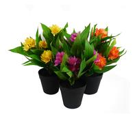 3x 18cm Artificial Freesia Plants Pink, Orange, Yellow Flowering