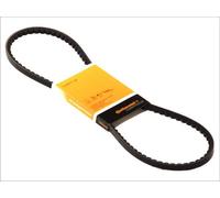 3x ✅Fits CONTITECH 10 X 975 V-Belt 10 X 975 V-Belt (10x975) ⭐UK Seller⭐