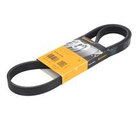3x ✅Fits CONTITECH 6 PK 1220 V-ribbed Belt 6 PK 1220 Multi-V-belt (6 ⭐UK Seller⭐