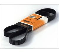 3x ✅Fits CONTITECH 6 PK 1380 V-ribbed Belt 6 PK 1380 Multi-V-belt (6 ⭐UK Seller⭐