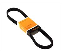 3x ✅Fits CONTITECH 6 PK 720 V-ribbed Belt 6 PK 720 Multi-V-belt (6PK ⭐UK Seller⭐