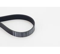 3x ✅Fits CONTITECH 8 PK 1122 EXTRA V-ribbed Belt 8 PK 1122 EXTRA Mul ⭐UK Seller⭐
