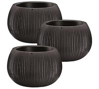 3x Prosperplast BETON BOWL plastic with reservoir in black cement color, 13.6 (H) x 18 (W) x 18 (D) cm