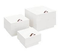 3x Solid Wood Pine Storage Boxes with Lids Tool Chest Multi Colours vidaXL