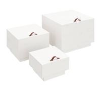 (White) vidaXL 3x Solid Wood Pine Storage Boxes with Lids Tool Chest Multi Colours