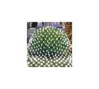 3X2M LED Net Mesh String Light Christmas Fairy Light(Cool White)