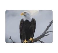 3x5 Eagle Full Moon Area Rug for Living Room - Washable Coral Fleece Door Mat with Non-Slip PVC Back, Absorbent Entryway Rug Soft Small Carpet for Bedroom Bathroom Dorm