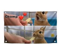 3x5 Feet Adorable Little Bunny Tapestries for Wall Decorations with Four Brass Grommets - Single Sided Cute Rabbit Flag for Room Teen Girls and Boys - Polyester Pretty Animal Poster for Lawn Decore