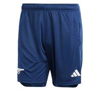 (3XL) 2023-2024 Arsenal Third Shorts (Navy)