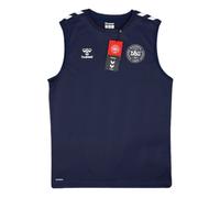 (3XL) 2024-2025 Denmark Sleeveless Training Jersey (Marine)