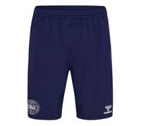 (3XL) 2024-2025 Denmark Training Shorts (Marine)