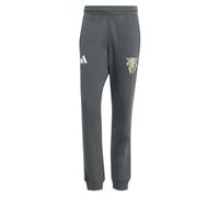 (3XL) 2024-2025 Jude Bellingham Tracksuit Bottoms (Grey)