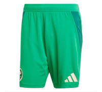 (3XL) 2024-2025 Saudi Arabia Home Shorts (Green)