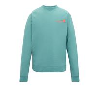 (3XL, Arctic Green) Regatta Mens Nithsdale Back Print Sweatshirt