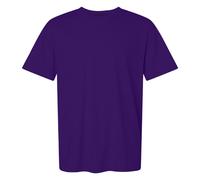 (3XL, Fan Dark Purple) Gildan Mens SoftStyle Ringspun T-Shirt