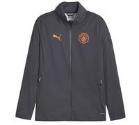 (3XL, Grey) Puma Mens 2023/2024 Manchester City FC Jacket