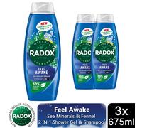 'Body Wash+Shampoo' 2in1 for Men with Fennel & Sea Minerals, 3x675ml Radox Blue One Size