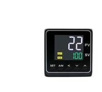 4-20mA Input SSR/Relay/4-20mA Output 48x48mm, 50 Segments Programmable Ramp Soak Intelligent Pid Temperature Controller(Relay OPT 2ALM RS485)