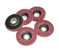 4"/4.5"/5"/100-125mm Nylon Fiber Flap Polishing Wheel Disc for Angle Grinder for Wood Metal Buffing(5pc grit 240-01,115x22mm)