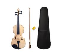 4/4 Acoustic Violin Set Basswood Plate W/Brazilwood Bow Canvas Case Student Violin Beginner Use