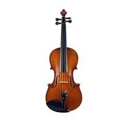4/4 Flamed Violin Professional Use Varnished Violin 4/4 Violin Strong Tone Violino Free Case And Bow