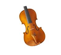 4/4 Professional Violin For Masterclass Player Training Celebrations And Performances Violin