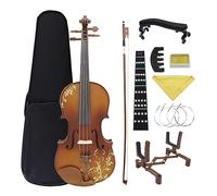 4/4 Violin Acoustic Solid Carved Wood Violino Basswood Violin Kits With Case Bow Beginners Instrument Accessories (Color : Set 1)
